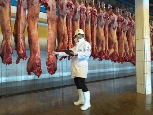 Estrategia: Bolivia busca consolidar mercados de exportación de carne en países árabes y asiáticos