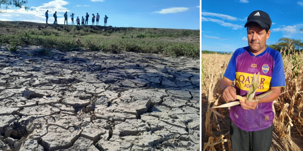 “Hay una disminución de toda la producción  agrícola”, alerta la CAO que urge la biotecnología