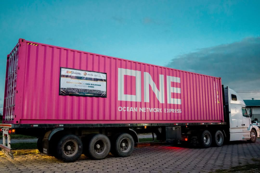 Prevén exportar más de 50 mil toneladas de chía a China cada año