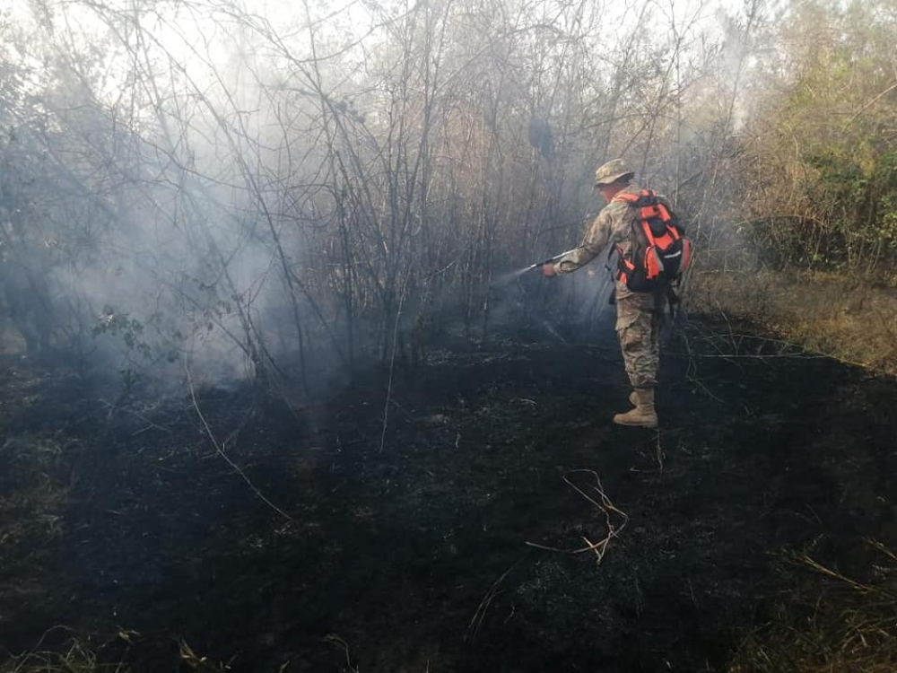 https://lapalabradelbeni.com/post/ypfb-aumenta-despacho-de-combustible-y-refuerza-control-contra-la-reventa