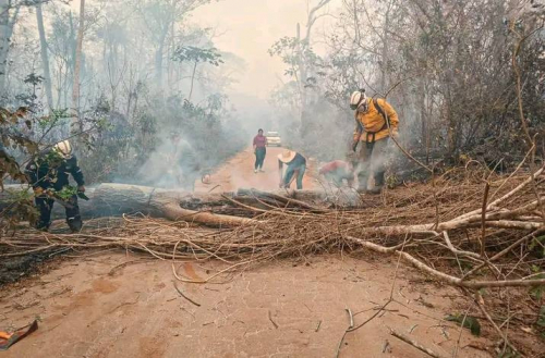 Incendios forestales destruyen Amazonía  y la falta de recursos agrava la situación