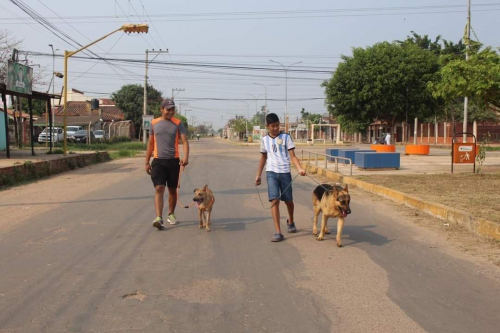 Alerta por Humo: Día del Peatón en Trinidad sin actividades físicas