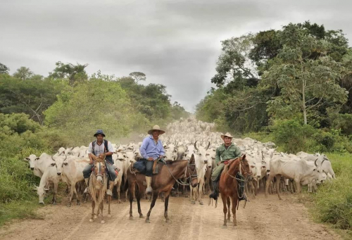 En el 199º aniversario de Bolivia, SENASAG  destaca el potencial  agropecuario del país