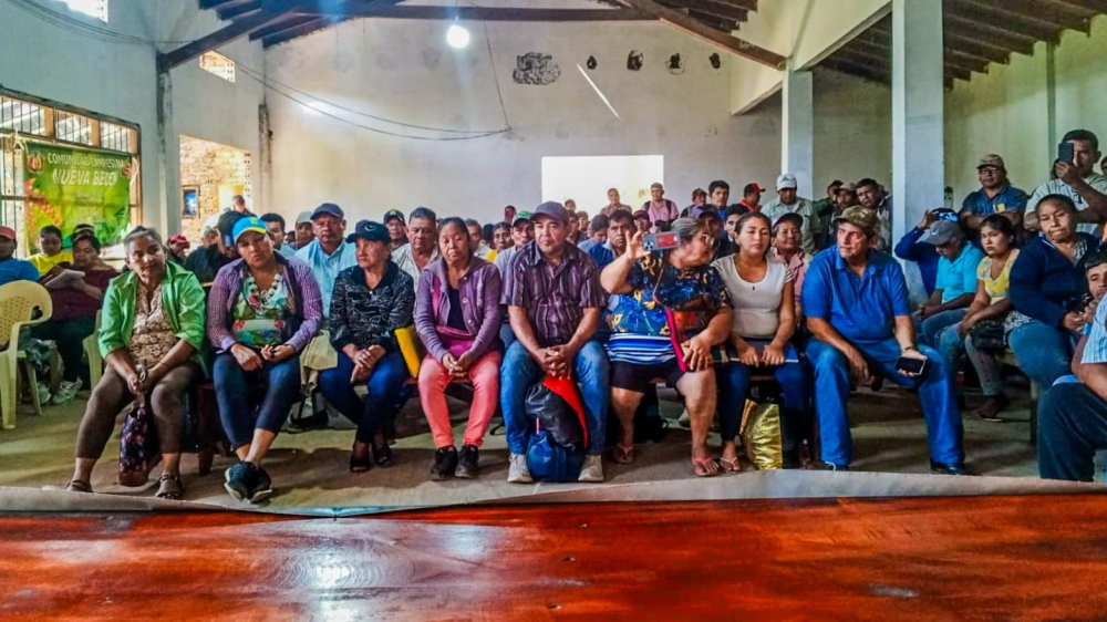 Denuncian explotación  ilegal de madera en  la provincia Marbán  por Menonitas