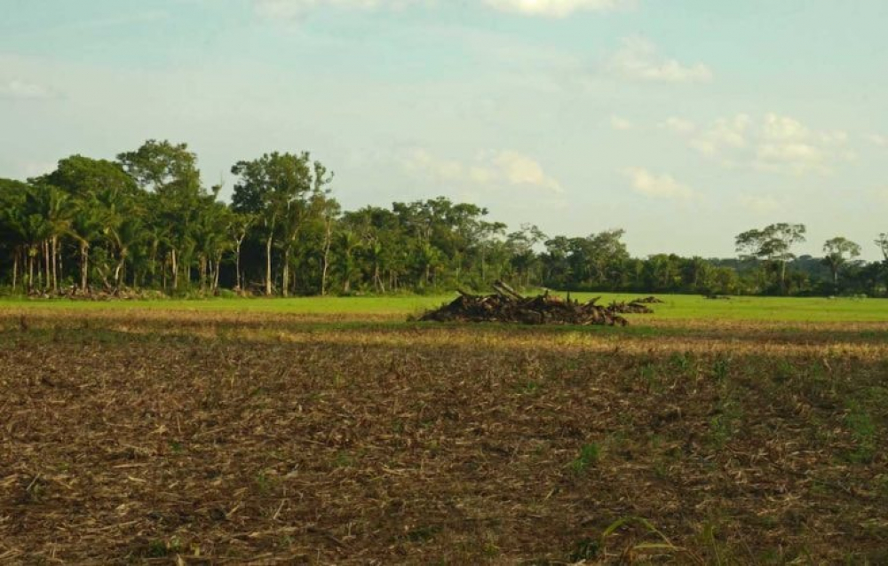 El saneamiento de  tierra llega a un  93% de avance