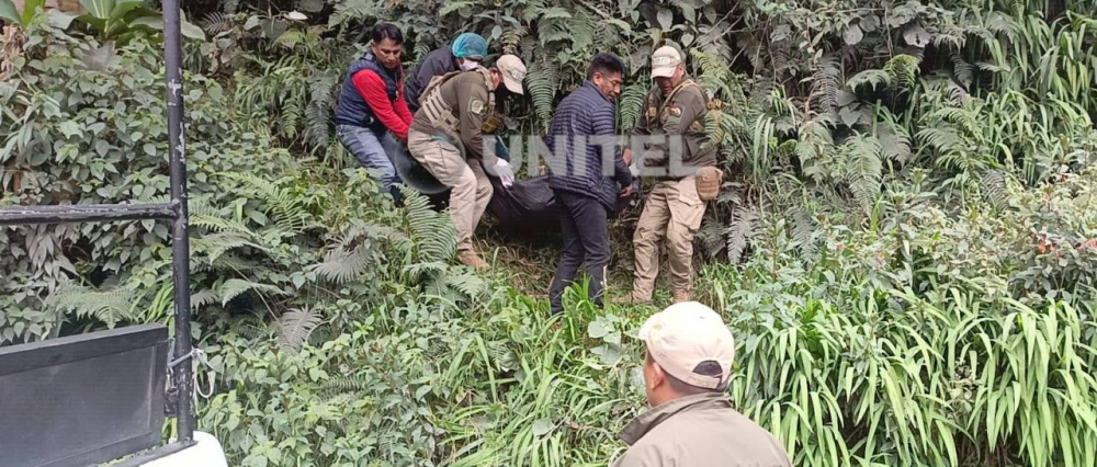 Hallan sin vida a tres personas en la carretera a los Yungas; tenían heridas causadas por arma de fuego