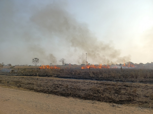 Reportan 882 focos  de calor; la mayoría  en Magdalena, San  Joaquín y Exaltación