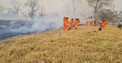 ABT activan 43 procesos  penales por los incendios  en Santa Cruz y Beni