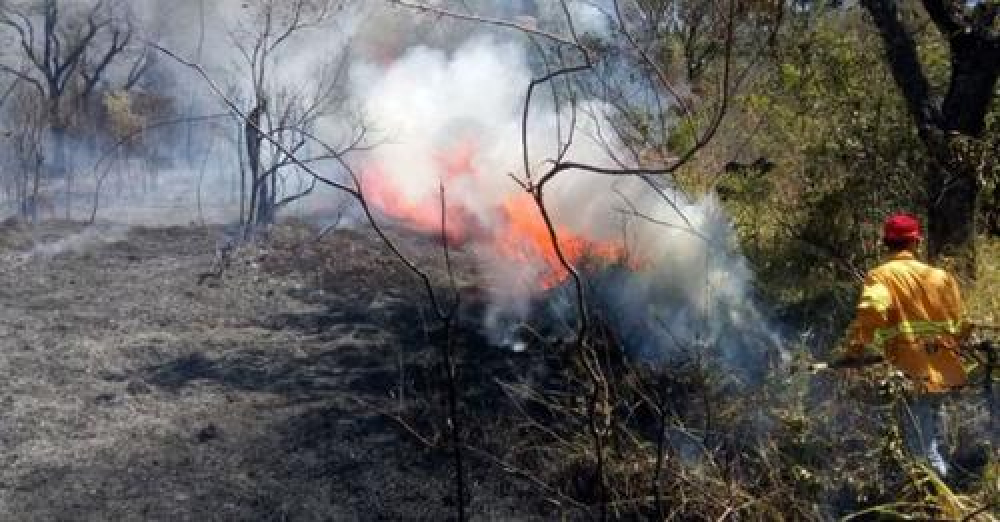 Incendios forestales  en Santa Cruz y  Beni, según  Defensa Civil