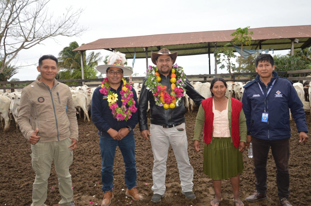 Gobierno entrega  400 vaquillas a  productores de Yucumo