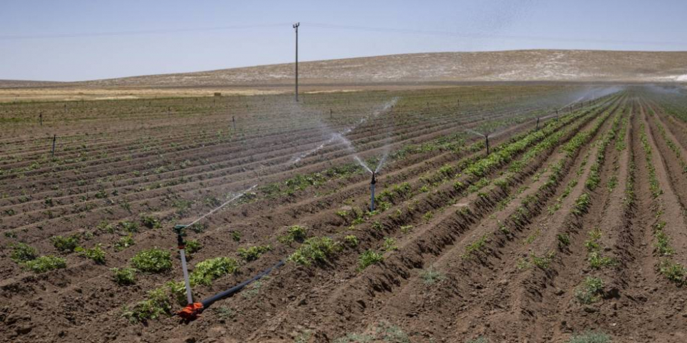 Productores y economistas plantean apostar por la producción en vez de la subvención