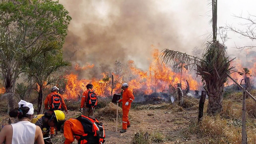 Aproximadamente 54 mil focos de calor y 600 mil hectáreas afectadas en el Beni