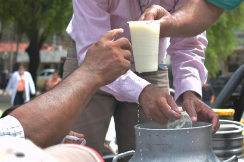 Lechero del Beni: Sequía, incendios e  inflación de insumos amenazan la producción