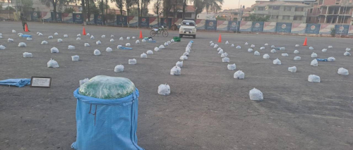 Aprehenden a dos personas en poder de 290 kilos de marihuana en Cochabamba