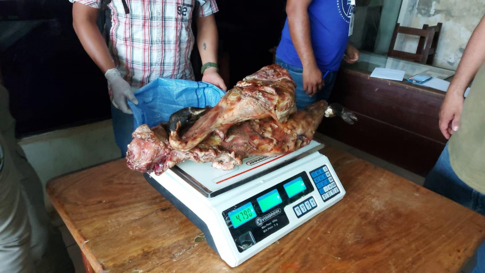 Venta ilegal de carne  silvestre: 29 kilos incautados  en operativo sorpresa