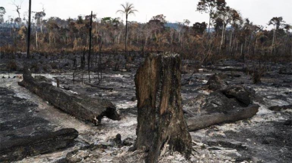 Gestión: Defensoría demanda atención a personas que perdieron sus viviendas en incendios