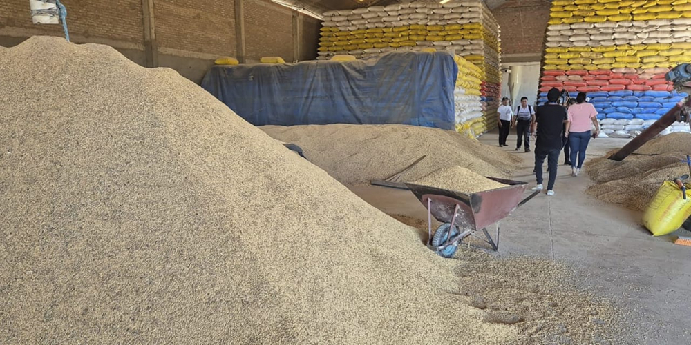 Productores arroceros del Beni también se ven afectados por intervención y secuestro de arroz en Santa Cruz