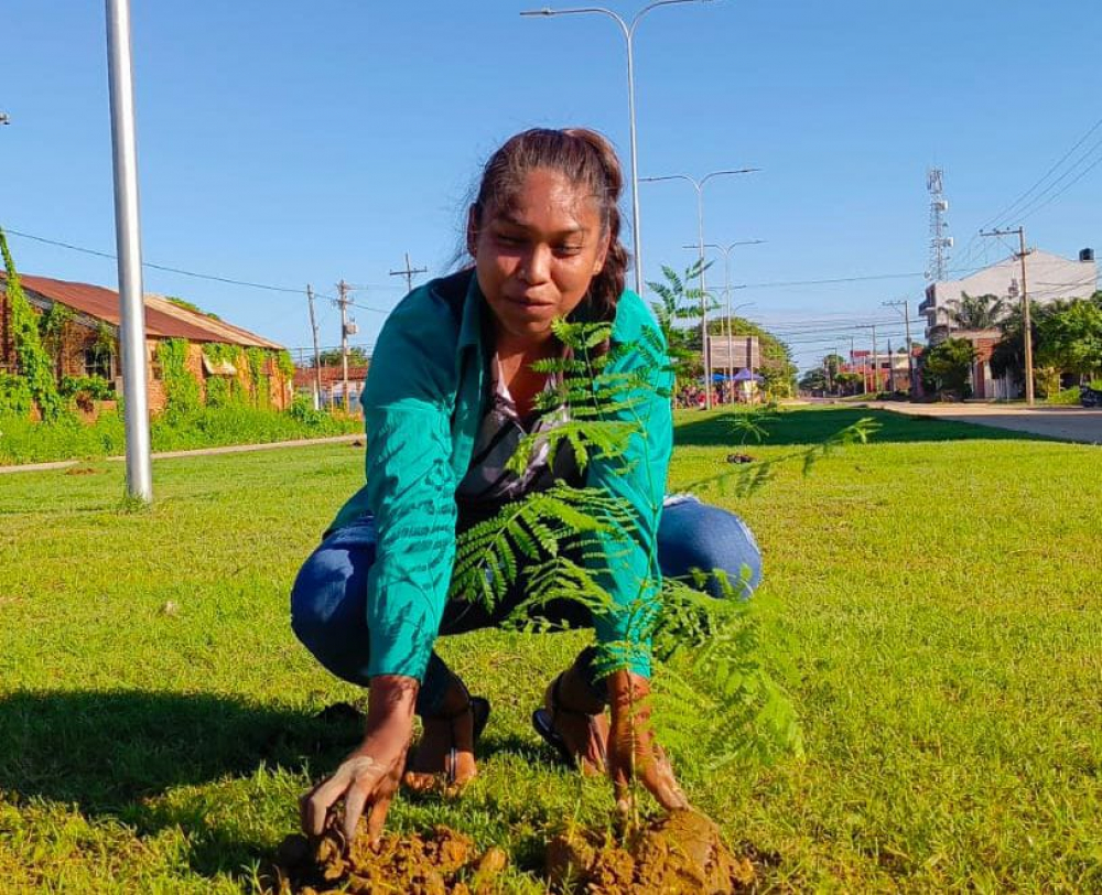 Pastoral Ecológica: Ejecuta el proyecto de Arborización del Casco Viejo de Trinidad