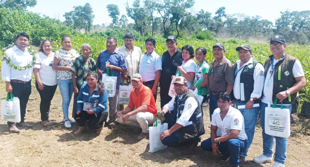 Productores y emprendedores reciben plantones de palma aceitera