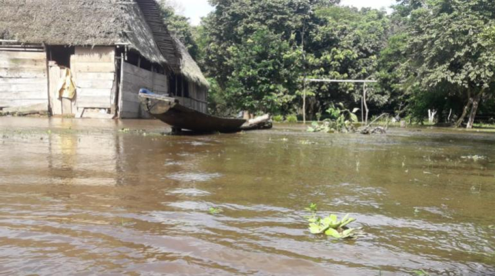 El río arrasa con viviendas en Santa Rosa del TIPNIS: Comunidad en estado crítico