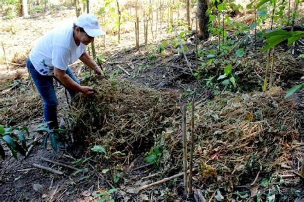 Campesinos productores solicitan apoyo para  sectores afectados por fenómenos climáticos