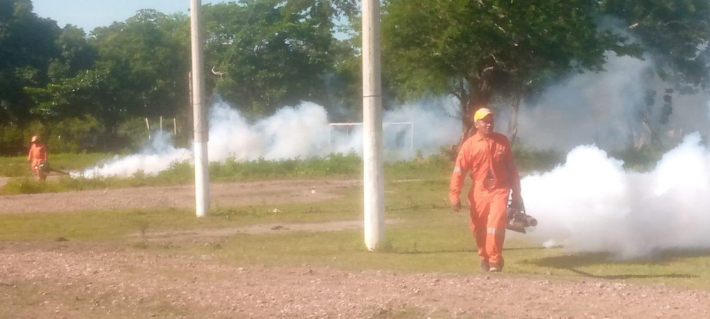 Exhortan a la población a unirse contra el dengue