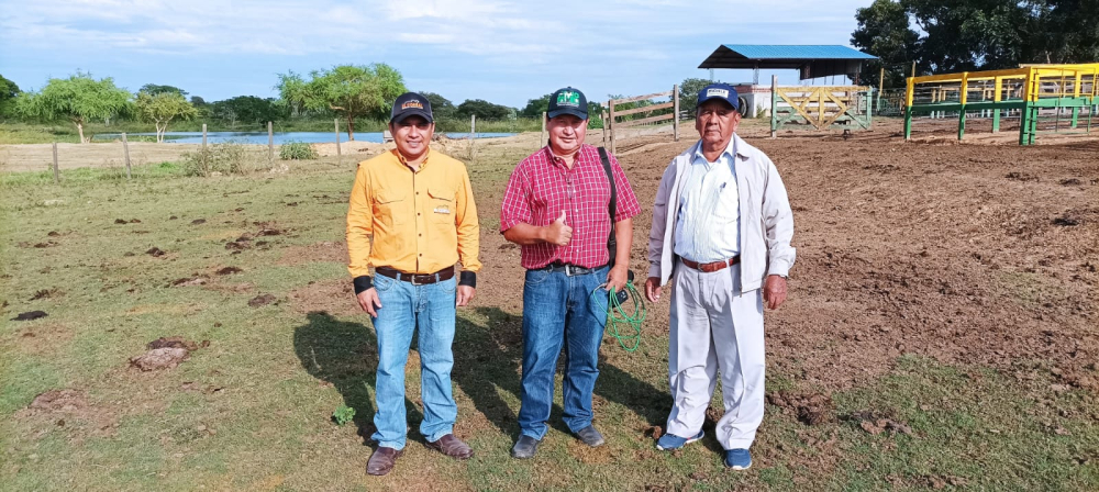 Loma de Ovando y la proyección ganadera con subasta de animales