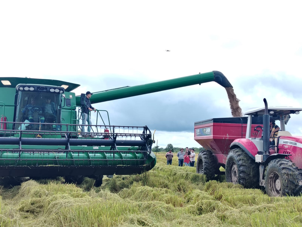 Emapa inició cosecha de arroz y prevé acopiar 40.000 toneladas en Beni y 120 mil en todo el país el 2025