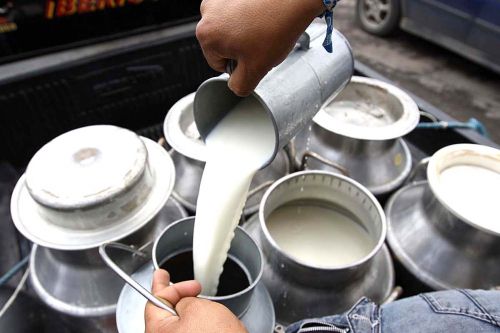Productores de leche en  alerta: Falta de forraje  y altos costos ponen en riesgo el sector