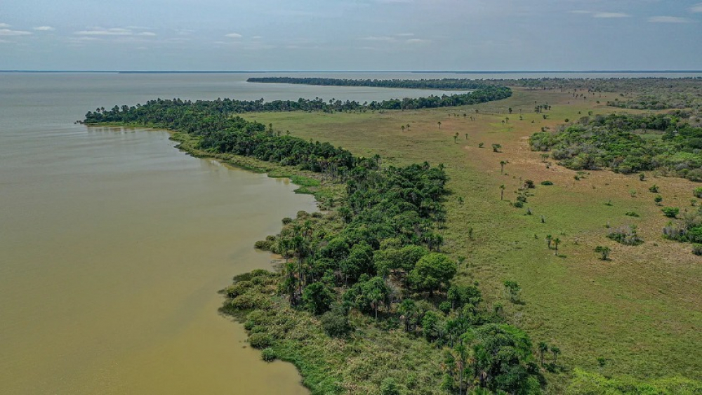 Nueva expedición  científica en los Llanos  deMoxos: explorando  la riqueza del  APM Gran Mojos