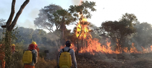 Sequía agrava la  situación: Trinidad  registra incendios  de magnitud en  solo dos días