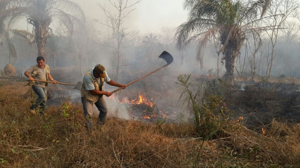 Provincias Mamoré,  Marbán y Yacuma en alerta  por 259 focos de calor