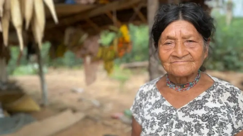 Los tsimane, la remota comunidad en Bolivia donde las personas envejecen más lento