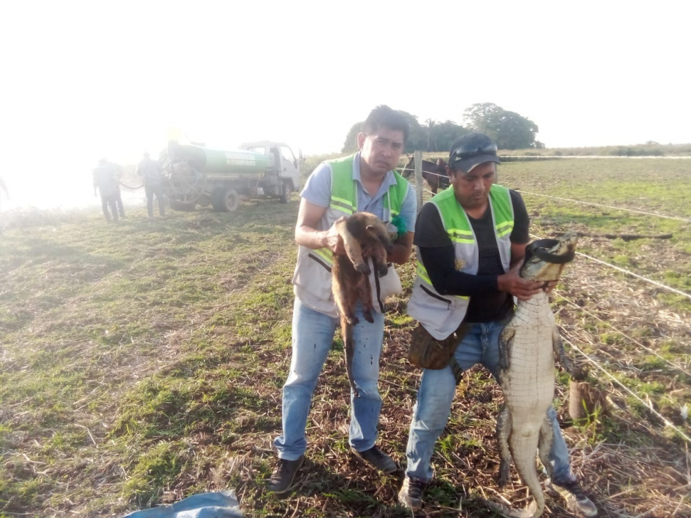 Federico Moreno: “El fuego no perdona y  está destruyendo nuestro futuro ecológico”