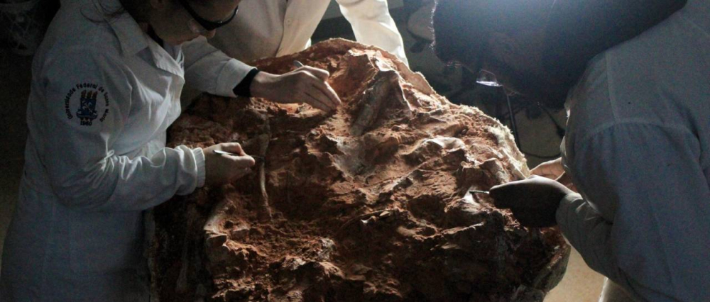 Hallan fósil de dinosaurio de 230 millones de años tras lluvias en sur de Brasil