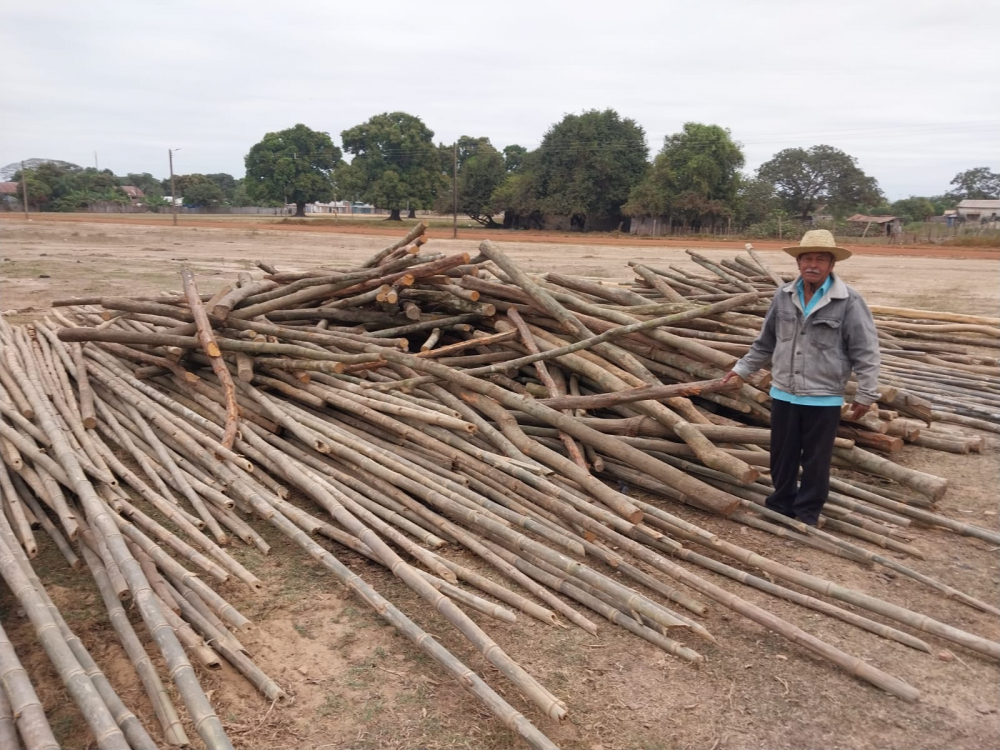 Trasladan postes de  madera para armar el  corral por la mere’e  piesta en Santa Ana