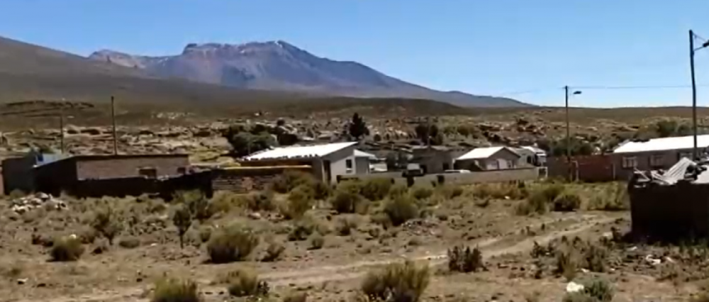 200 crías de llama murieron congeladas y ganado no come por fuertes vientos en el sudoeste de Potosí