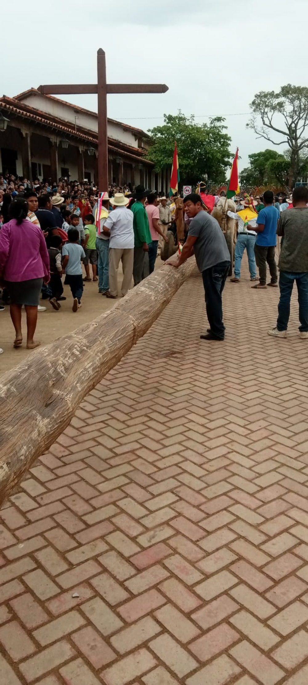 Llega el Palo Encebao a San Ignacio de Moxos