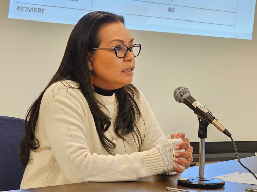 Dra. Rocío Vásquez destaca  como única candidata indígena  al Tribunal Agroambiental