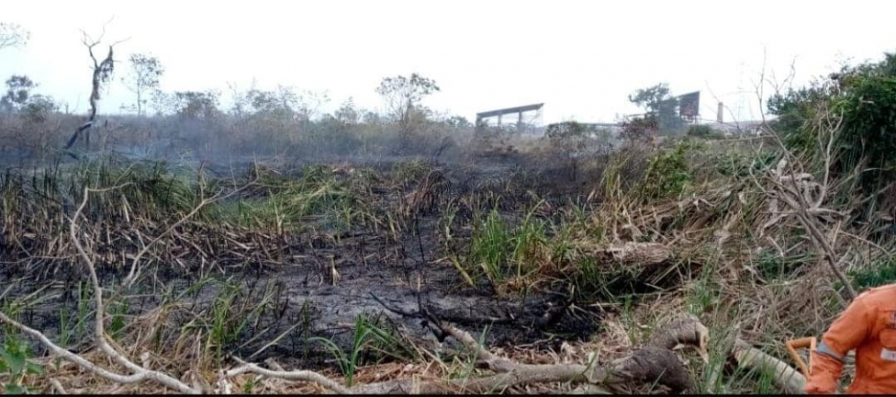 Autoridades y Bomberos combaten incendios  frecuentes en lotes baldíos