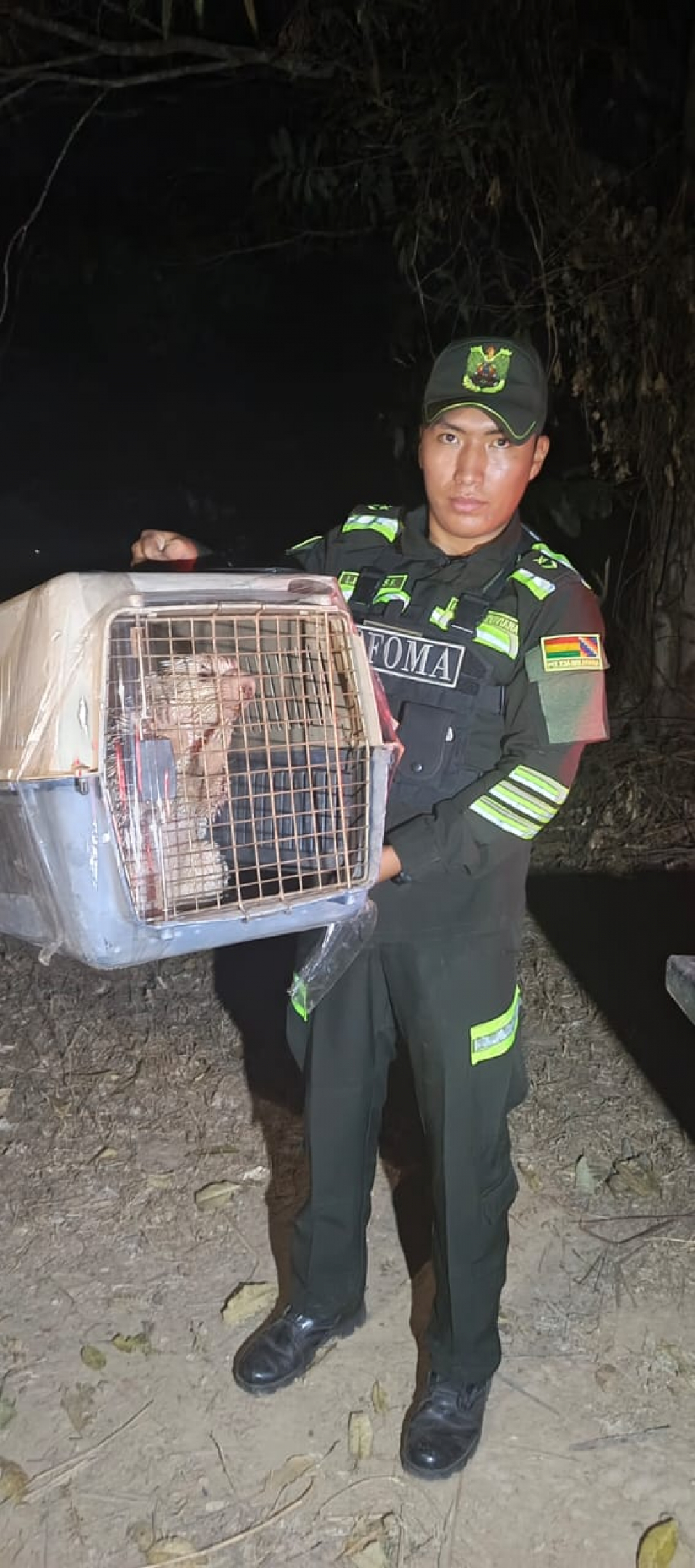 Acción rápida de POFOMA: Puerco espín rescatado y liberado en un área protegida