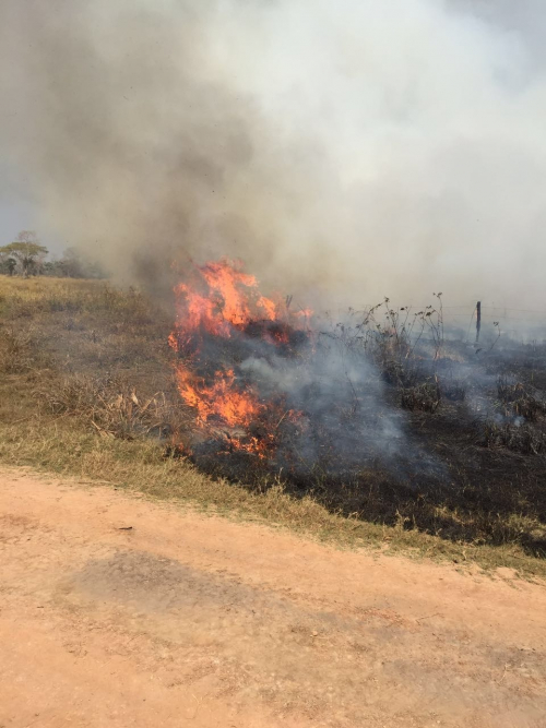 Ganaderos en  Alerta Roja por  incremento de  incendios y  sequía severa