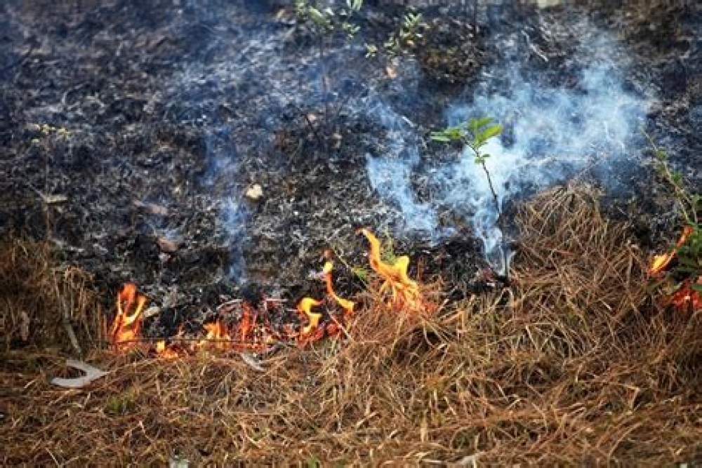 Mil focos de calor activan sanciones  en el departamento del Beni