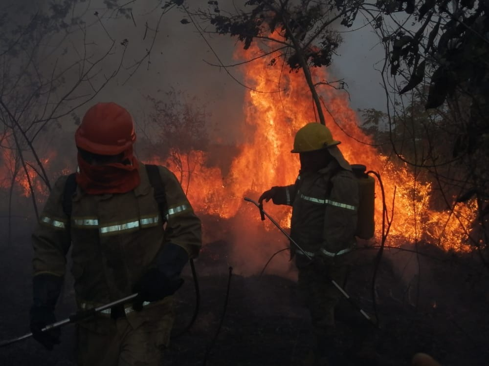Gobierno destina Bs 20 millones para combatir incendios y desastres naturales