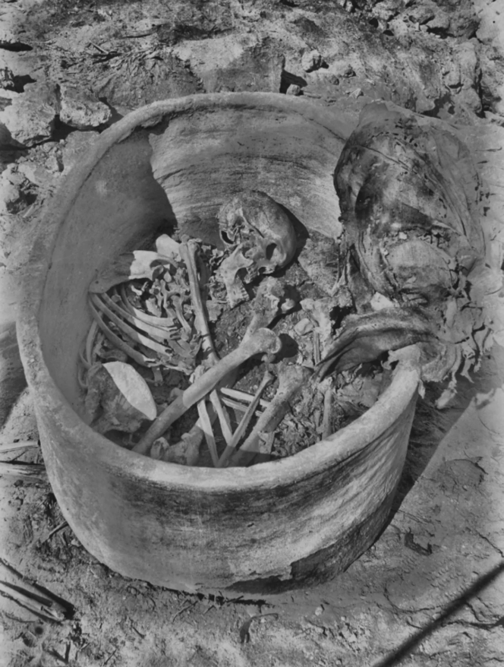 Científicos secuencian por primera vez todo el genoma de una persona del antiguo Egipto y hallan una ascendencia sorprendente
