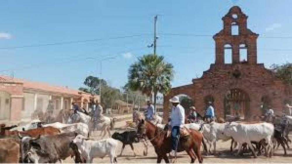 Loreto Epicentro de la ganadería