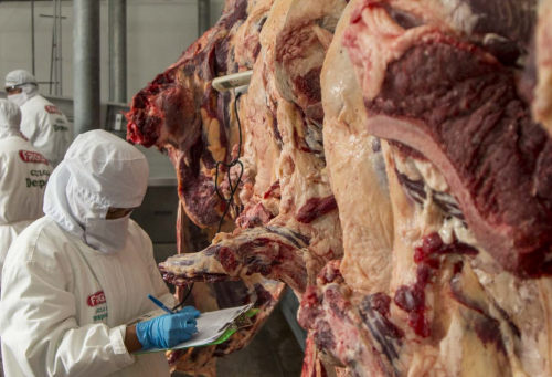 Bolivia cuenta con un saldo exportable  de 35.000 toneladas de carne