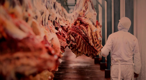 Bolivia exportador de carne: Principales destinos son China y Hong Kong