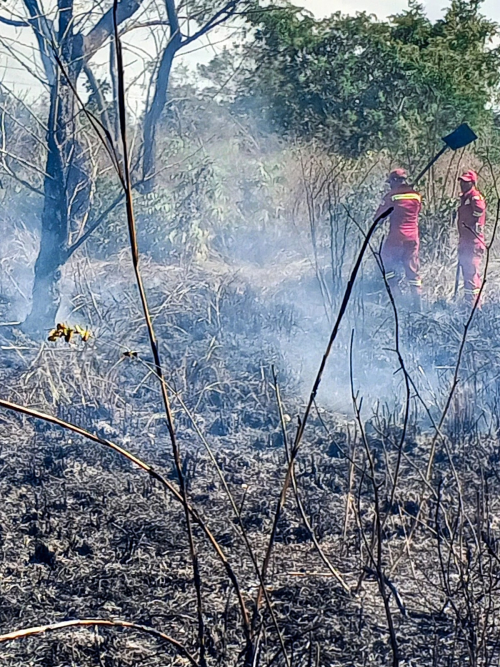 Incendio afecta Villa Moisés: Bomberos  instan a evitar quemas en época seca