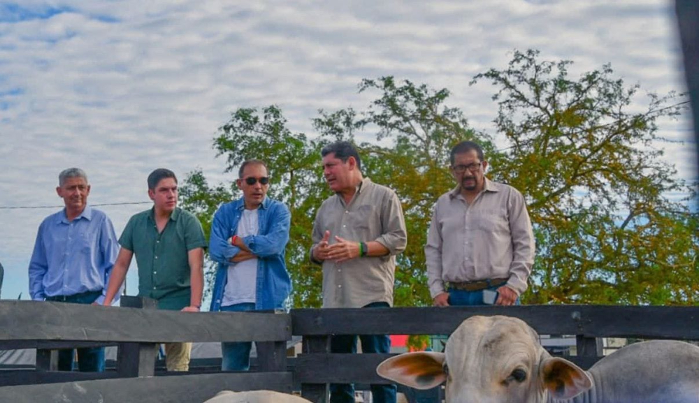 La Fexpocebú está en marcha con innovaciones en el campo de la genética